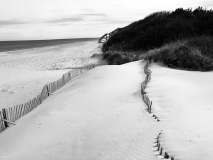 IMG_0375