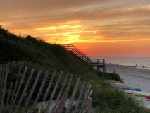 IMG_1289