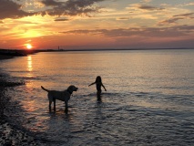 beach-pic-1